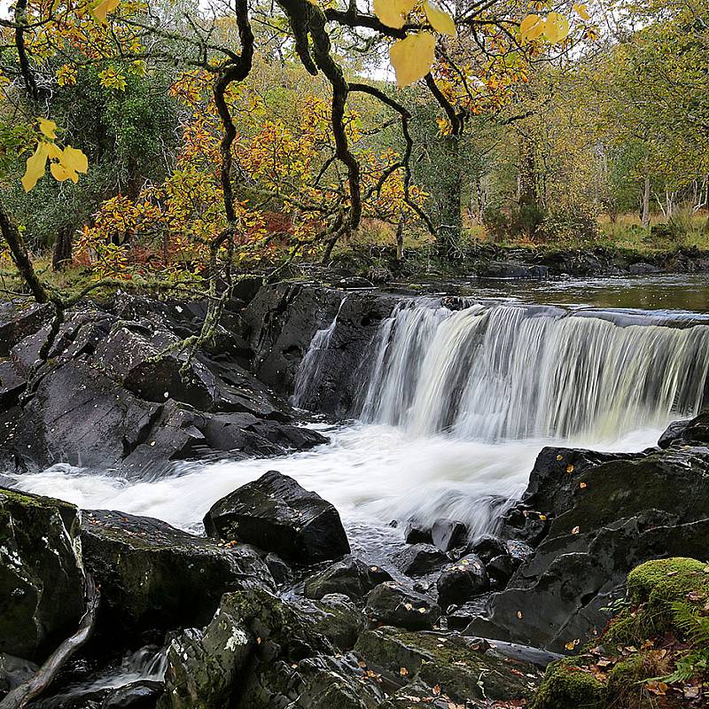 Killarney: Killarney National Park. Photo by Valerie O' Sullivan