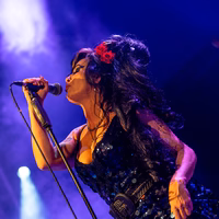 Amy Winehouse Experience