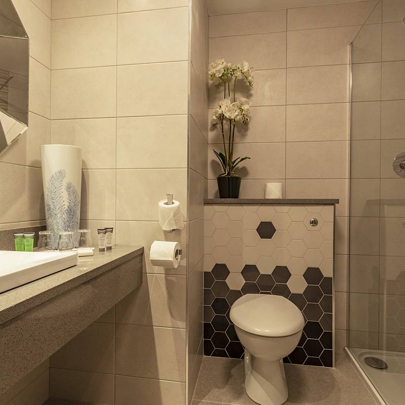 Family Suite: View Family Suite Rooms