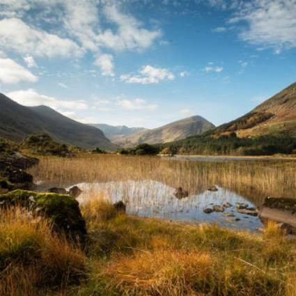 Advance Purchase Offers